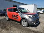 KIA SOUL + photo