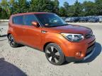 KIA SOUL + photo