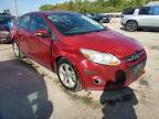 FORD FOCUS SE photo