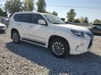 LEXUS GX 460 PRE photo