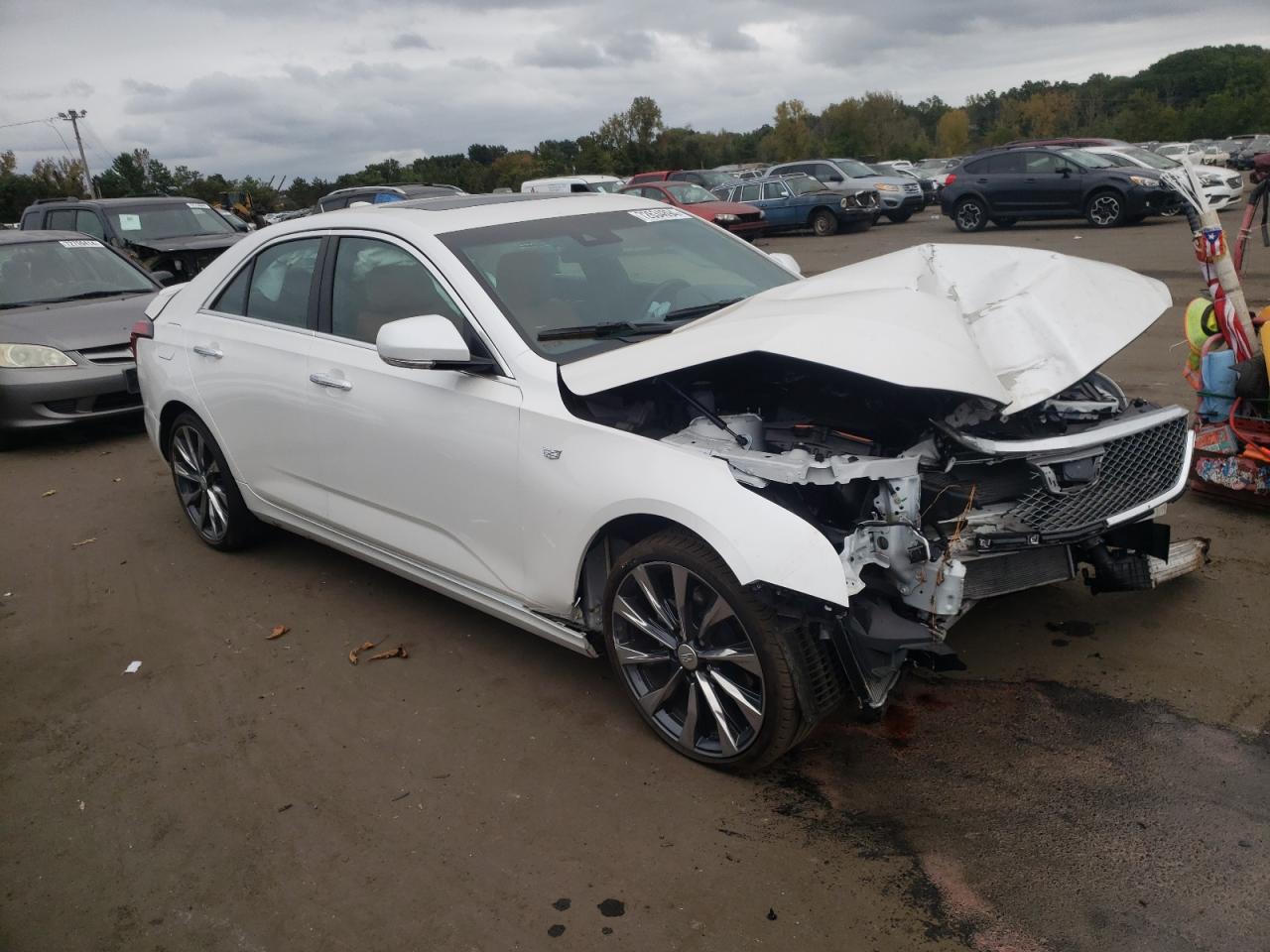 Lot #2988345770 2023 CADILLAC CT4 PREMIU