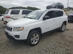 Lot #2937782736 2011 JEEP COMPASS SP