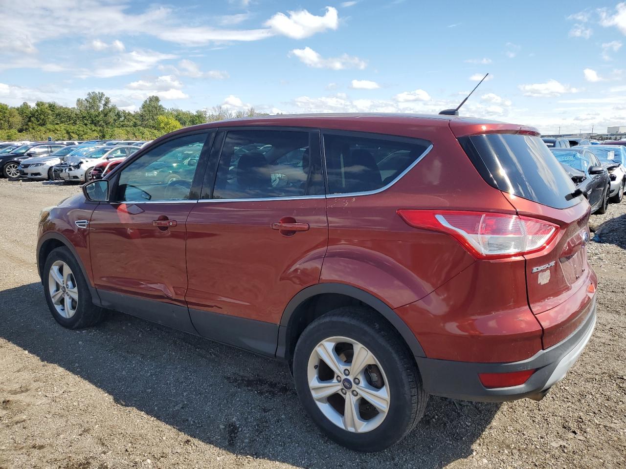 Lot #2902485924 2014 FORD ESCAPE SE