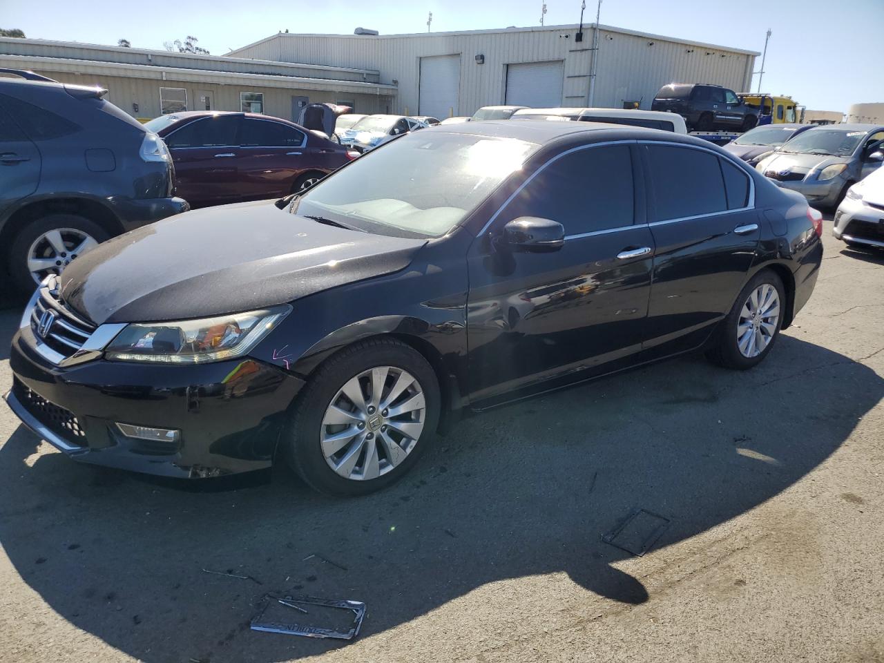 Honda Accord 2013 EX-L-V6