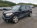 KIA SOUL + photo