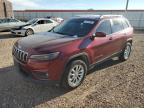 2019 JEEP CHEROKEE L - 1C4PJMCX9KD281481