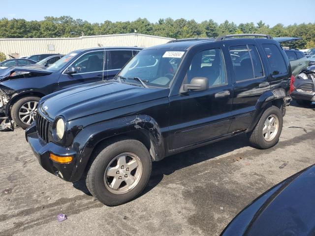 JEEP LIBERTY LI