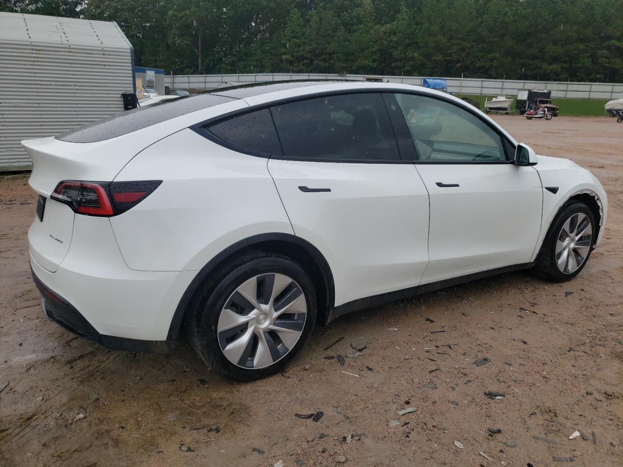 Lot #2971800014 2021 TESLA MODEL Y