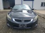 HONDA ACCORD EXL photo