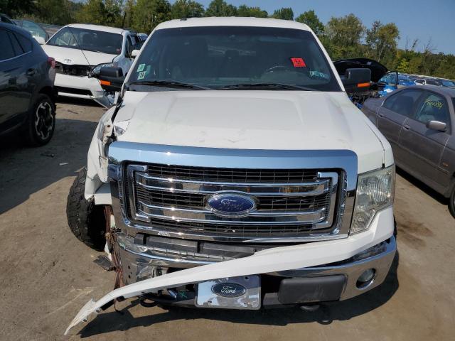 VIN 1FTFW1EF7DFC81521 2013 Ford F-150, Supercrew no.5