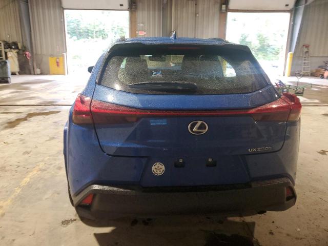 VIN JTHP9JBH0M2048510 2021 Lexus UX, 250H no.6