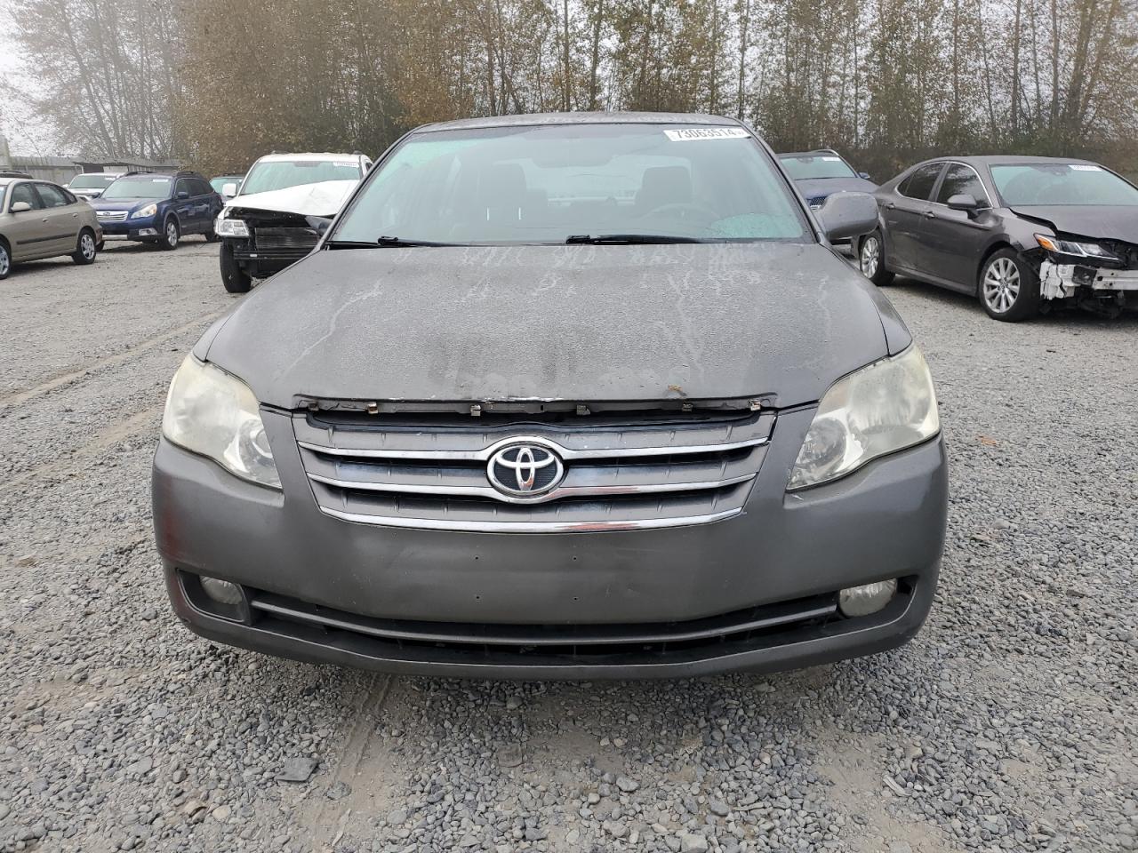 Lot #3025742347 2006 TOYOTA AVALON XL