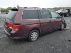 HONDA ODYSSEY EX photo