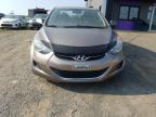 HYUNDAI ELANTRA GL photo