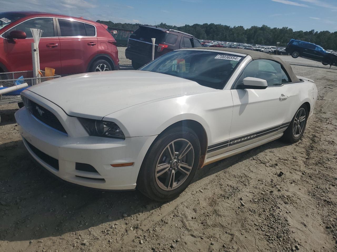 Lot #2935758912 2013 FORD MUSTANG