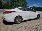 HYUNDAI ELANTRA SE photo