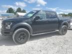 FORD F150 RAPTO photo