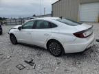 Lot #2960141045 2023 HYUNDAI SONATA HYB