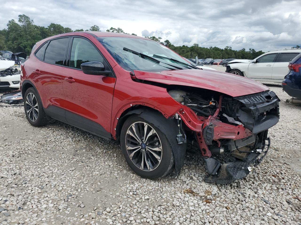 Lot #2843294533 2022 FORD ESCAPE SE