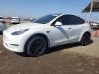 TESLA MODEL Y photo