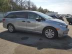 HONDA ODYSSEY LX photo