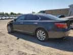 LEXUS LS 460L photo