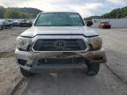 Lot #3024650672 2013 TOYOTA TACOMA ACC