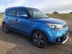 KIA SOUL + photo