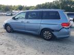 HONDA ODYSSEY EX photo