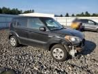 KIA SOUL photo