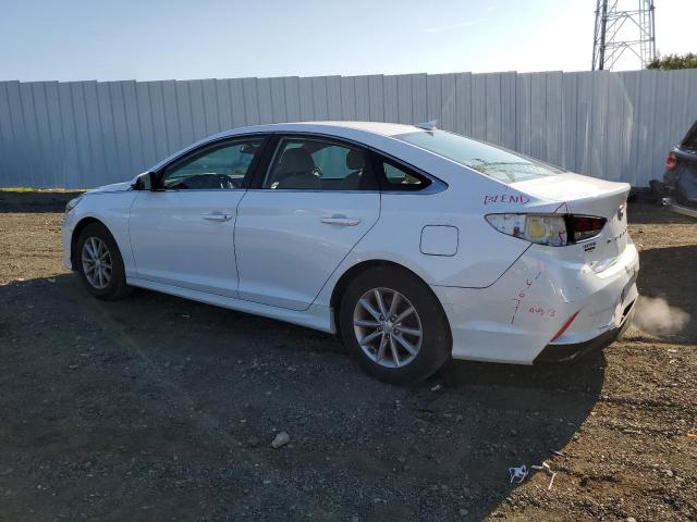 2019 HYUNDAI SONATA SE 5NPE24AF2KH817583  69593424