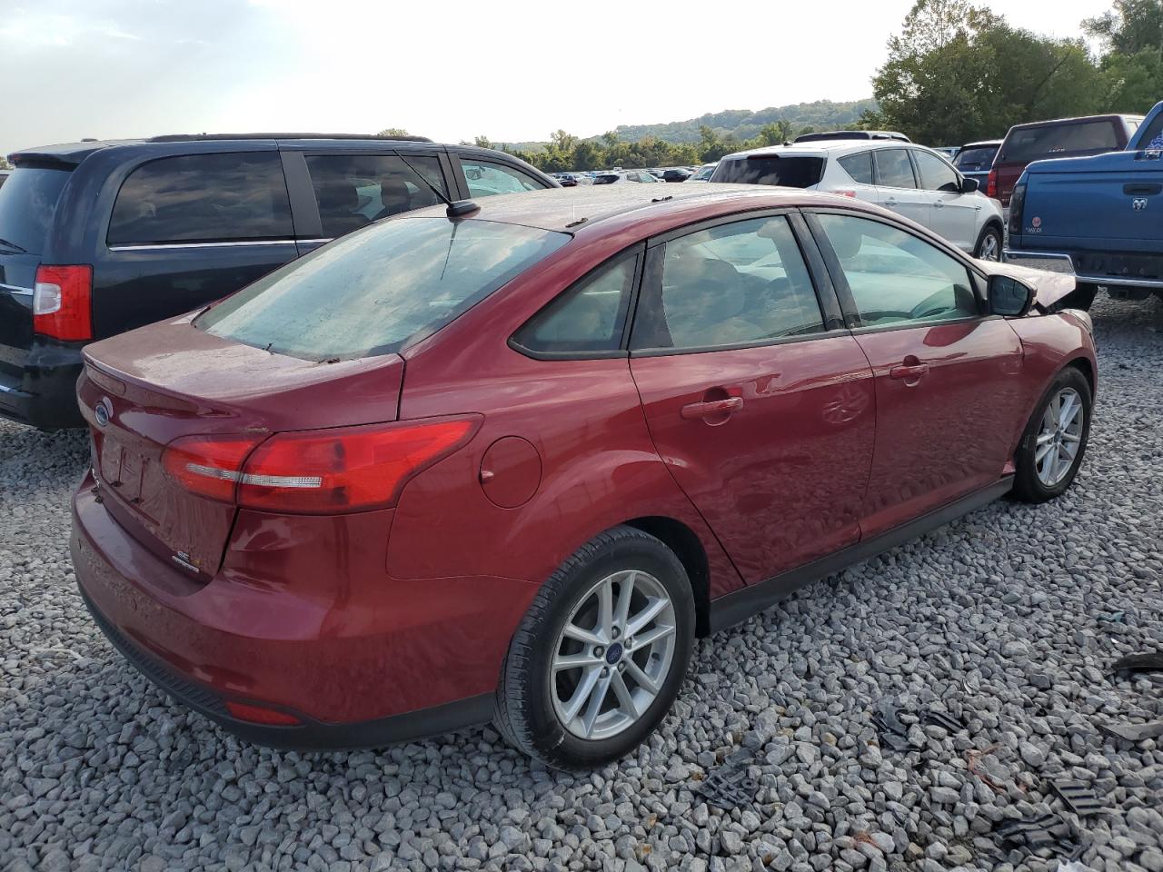 Lot #2923404532 2016 FORD FOCUS SE