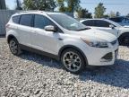 FORD ESCAPE TIT снимка