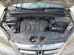 HONDA ODYSSEY LX photo