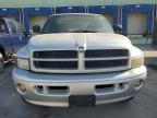 DODGE RAM 1500 photo