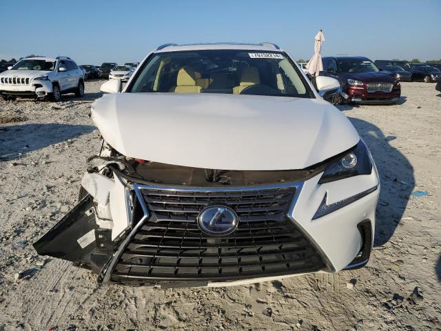 2020 LEXUS NX 300H - JTJGJRDZ8L5008327