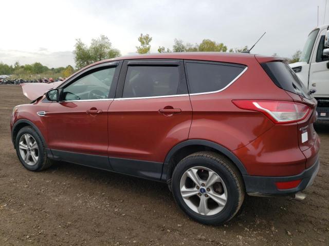 FORD ESCAPE SE 2014 orange  gas 1FMCU0GXXEUE36645 photo #3