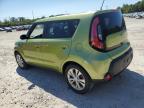 KIA SOUL + photo