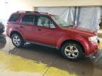 FORD ESCAPE XLT photo