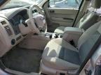 FORD ESCAPE XLT photo