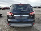 Lot #3024737229 2014 FORD ESCAPE TIT