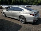 LEXUS ES 300H LU снимка