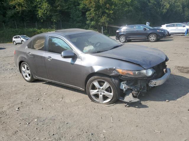 2010 ACURA TSX JH4CU2F61AC020877  69471484