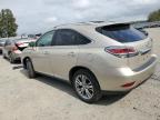 LEXUS RX 350 BAS photo