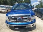 FORD F150 SUPER photo