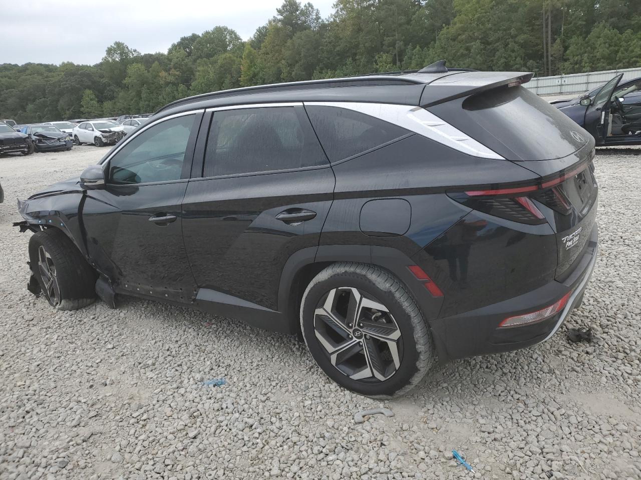 Lot #2923752582 2023 HYUNDAI TUCSON LIM