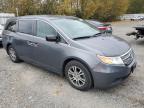 HONDA ODYSSEY EX photo