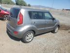 KIA SOUL + photo