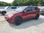 TOYOTA RAV4 LE снимка