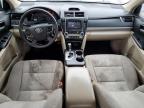 TOYOTA CAMRY L photo